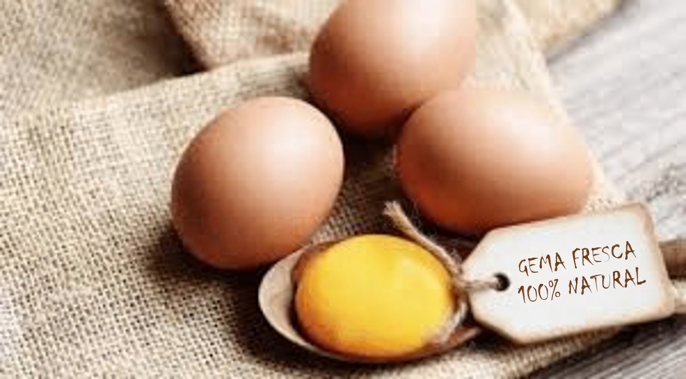 ADEUS ao Inchaço! 8 Alimentos Ricos em Colágeno que Você PRECISA Comer para suas PERNAS e ARTICULAÇÕES | Dicas de Saúde para Idosos