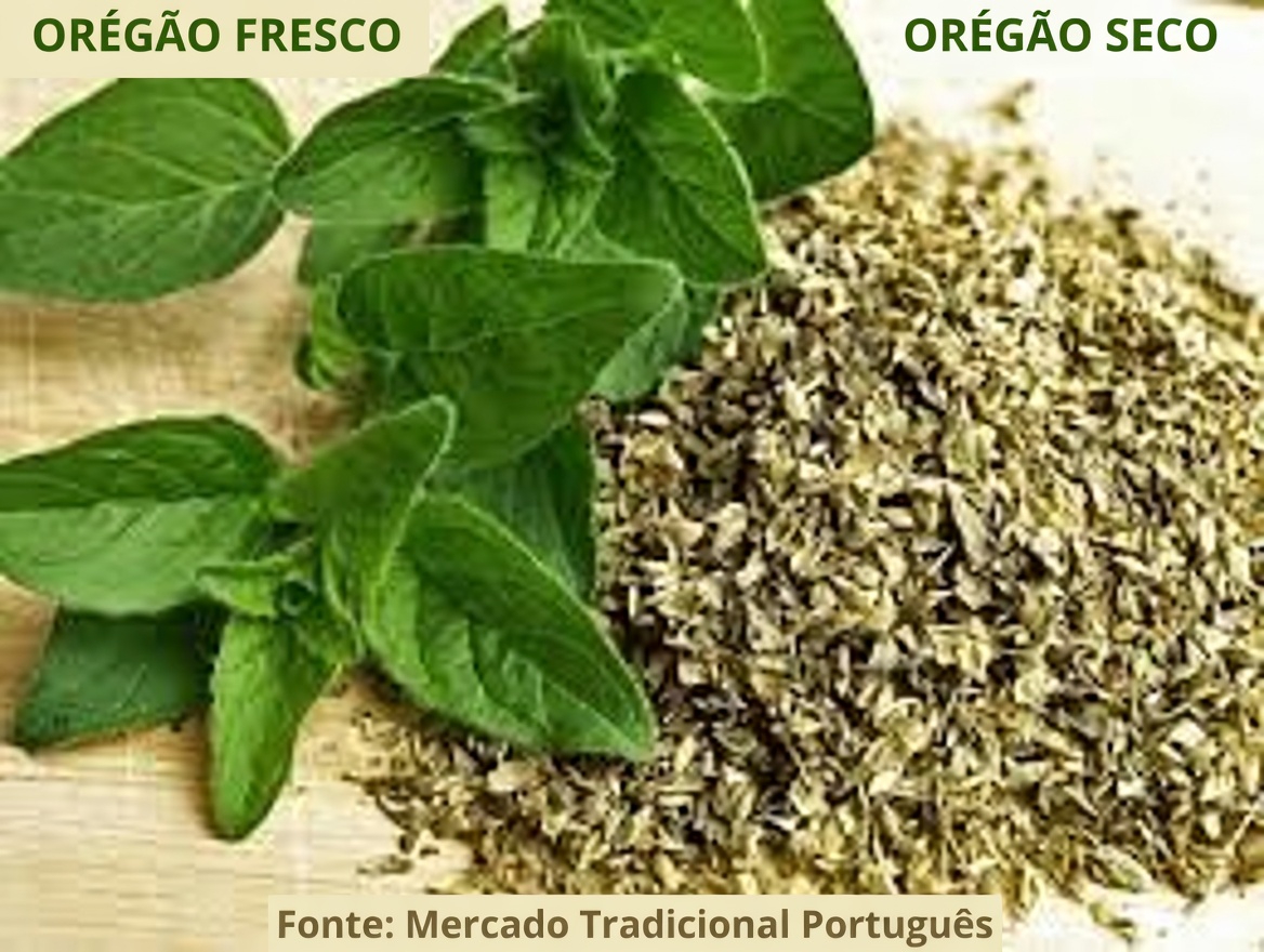 Orégano para a saúde dos olhos após os 40: suporte antioxidante natural e hábitos diários fáceis