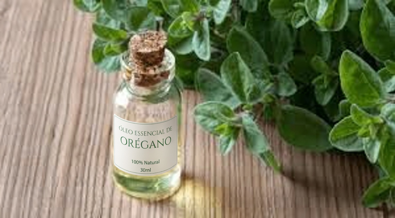 Orégano para a saúde dos olhos após os 40: suporte antioxidante natural e hábitos diários fáceis