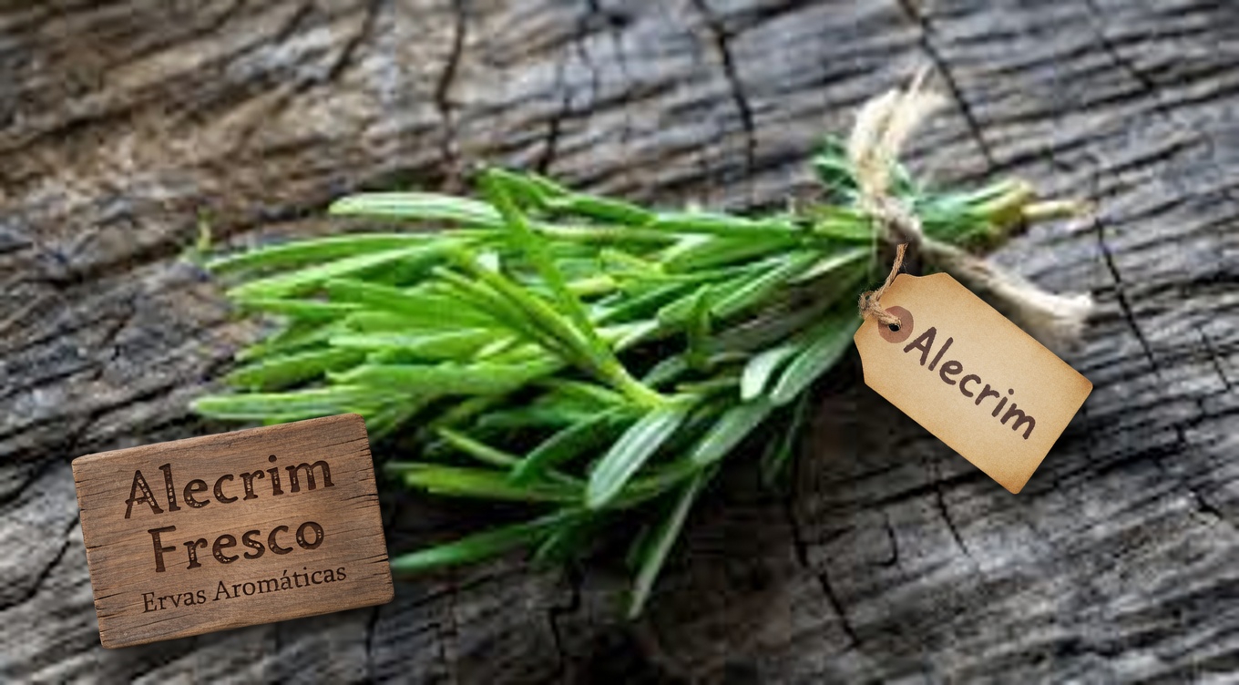 Descubra Ervas Tradicionais que Ajudam na Circulação das Pernas e Melhoram Naturalmente a Sua Saúde Vascular Diária