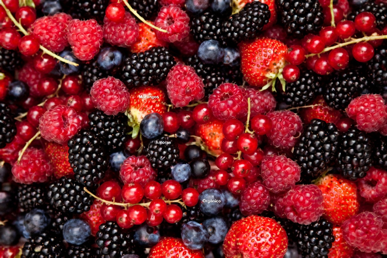 IDOSOS: 5 alimentos que ajudam a combater o câncer e a reparar o corpo