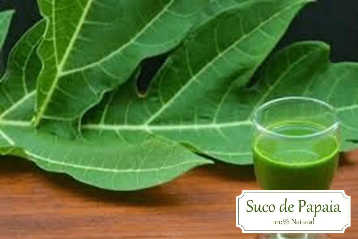 Bebida de Folha de Mamão: Um Remédio Natural que Muitas Pessoas Usam para Apoiar o Bem-Estar Geral