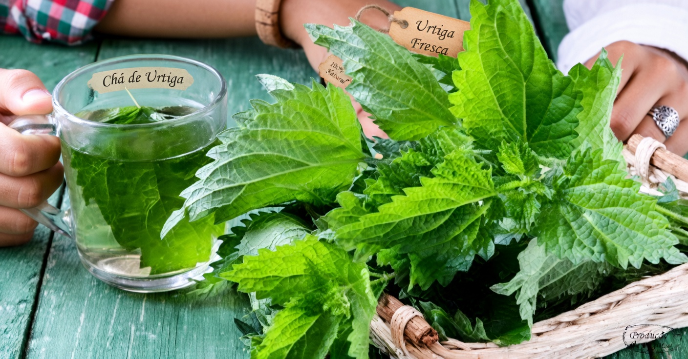 Raiz de Urtiga: A Erva Tradicional pela Qual Muitos Homens Têm Curiosidade para Apoiar o Conforto Urinário Noturno e um Sono Tranquilo