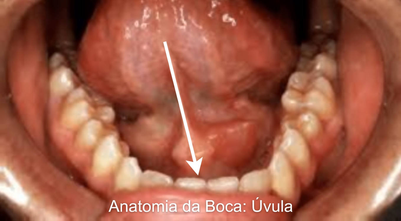 Por que você continua acordando com a boca seca — e o que isso pode estar lhe dizendo