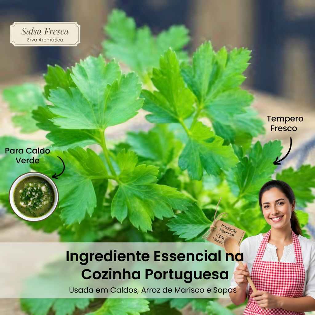 Descubra as 5 principais especiarias do dia a dia que podem apoiar naturalmente a saúde dos rins à medida que você envelhece