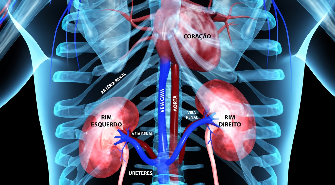 Cuide da Saúde dos Seus Rins Enquanto Dorme? Descubra a Bebida Natural para Suporte aos Rins de que Todos Estão Falando