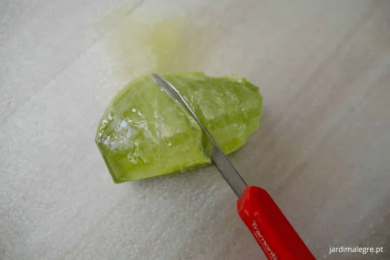 Descubra como a mistura natural de babosa e óleo de coco fortalece diariamente a sua rotina para uma pele luminosa