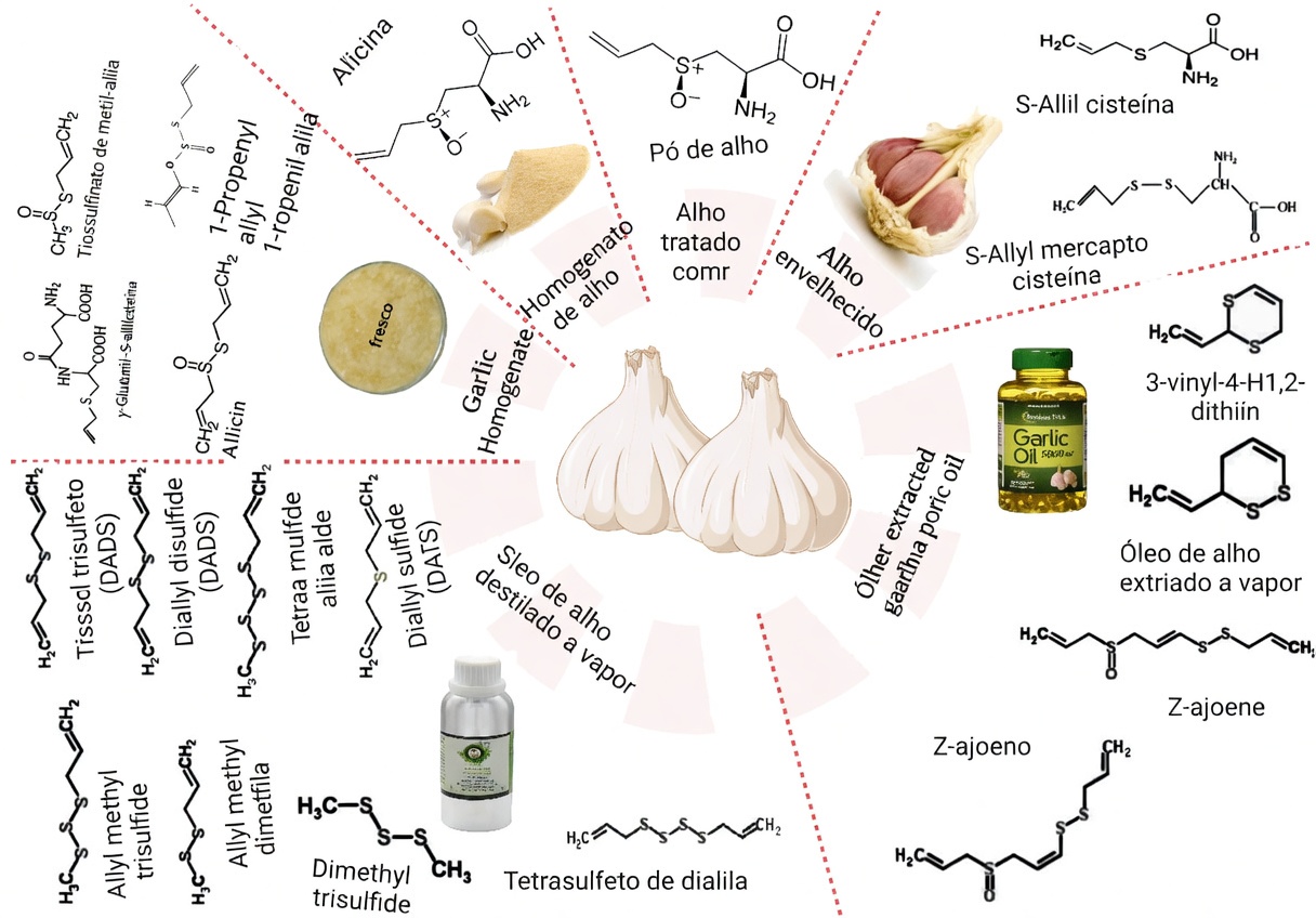Preocupado com a Creatinina Alta? 5 Alimentos Amigáveis aos Rins que Podem Ajudar a Manter Níveis Saudáveis de Creatinina e a Função Renal