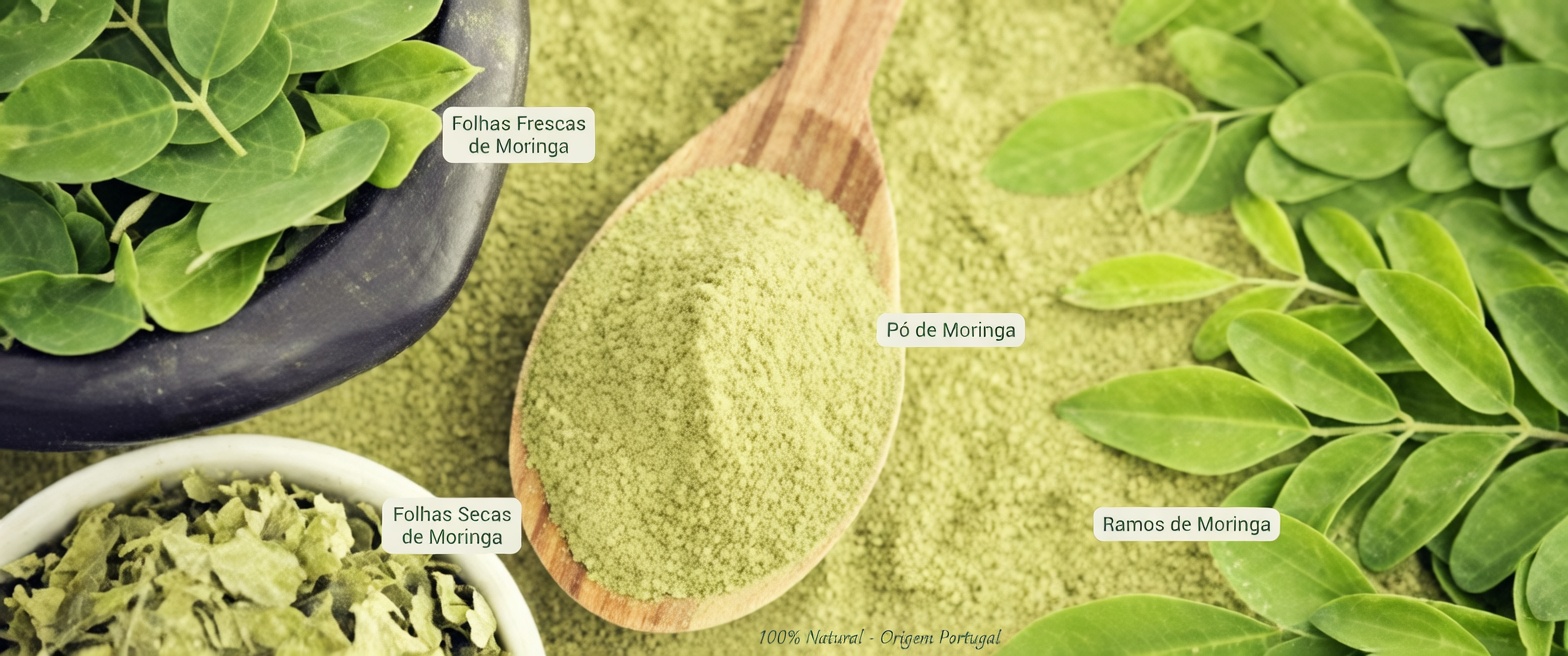 Esta folha poderosa pode ajudar a combater o câncer – por que ninguém fala sobre ela?