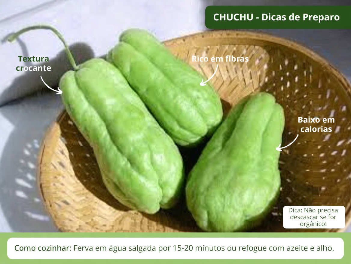 Esqueça os Remédios de Farmácia — O Chuchu Cura Naturalmente Dores no Joelho, Pés Inchados, Pressão Alta, Colesterol, Má Circulação e Anemia