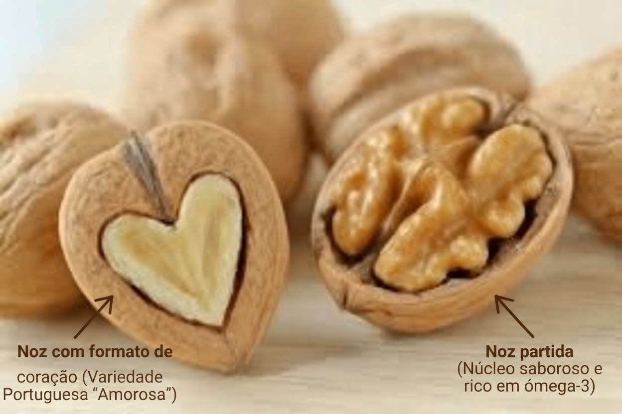 Níveis de creatinina caíram de 7,1 para 0,9 em 2 dias! 4 gorduras saudáveis para a saúde dos rins e 4 gorduras potencialmente arriscadas que você deve conhecer