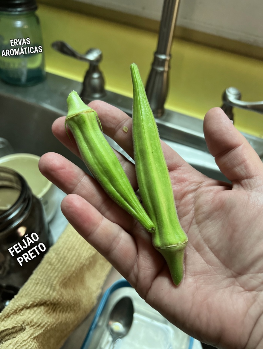 Quiabo Liberado: A Oculta Potência Verde que Está Revolucionando a Sua Saúde