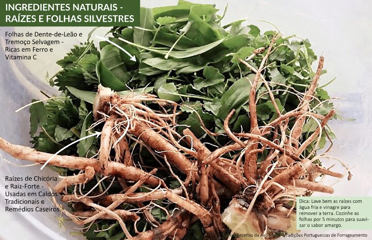 Por que a raiz de cardo-mariano merece um lugar na sua rotina: o segredo para a saúde do fígado comprovado cientificamente