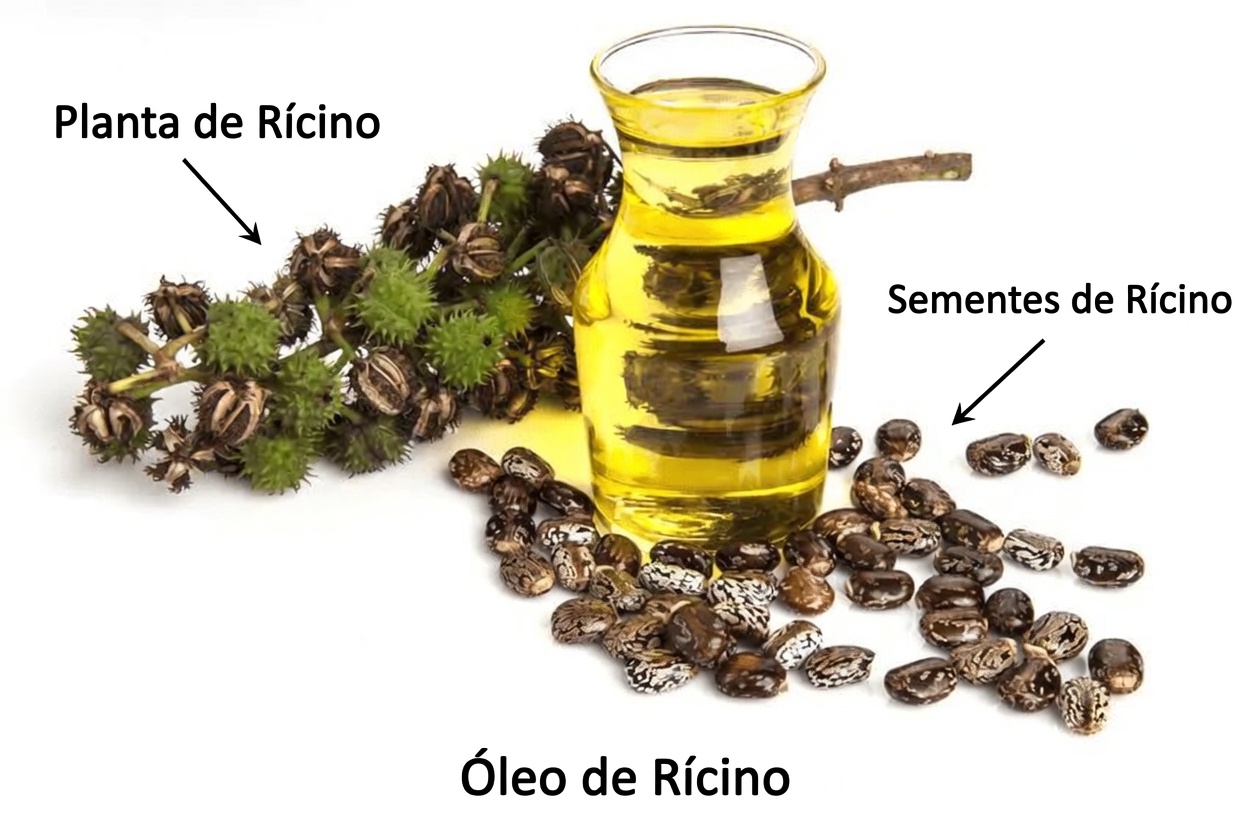 Descubra os Poderes Ocultos do Óleo de Rícino: 7 Benefícios que Mudam a Sua Vida para a Saúde e a Beleza