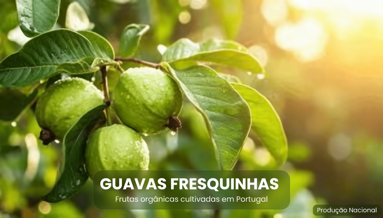 Chá de Folha de Goiabeira: A Bebida Herbal do Dia a Dia que Pode Apoiar a Digestão, o Equilíbrio da Glicemia e a Saúde do Coração