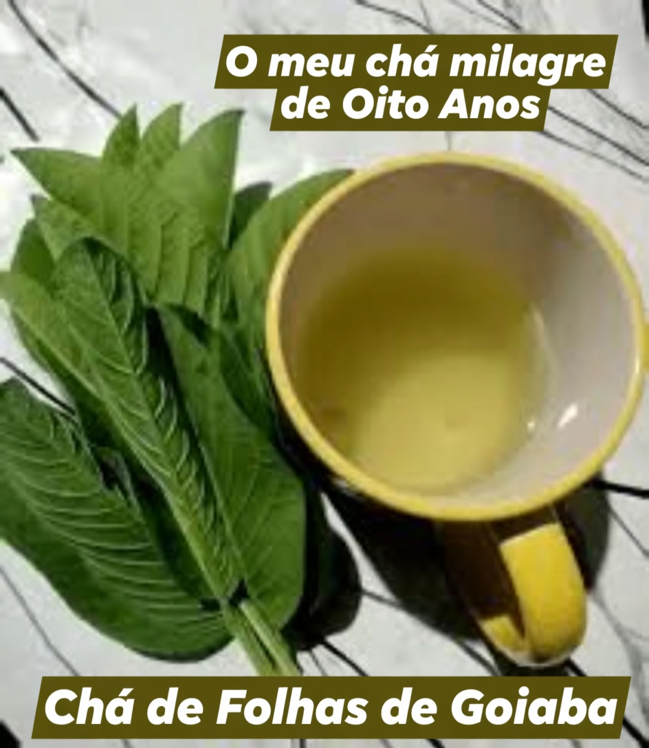 Chá de Folha de Goiabeira: A Bebida Herbal do Dia a Dia que Pode Apoiar a Digestão, o Equilíbrio da Glicemia e a Saúde do Coração