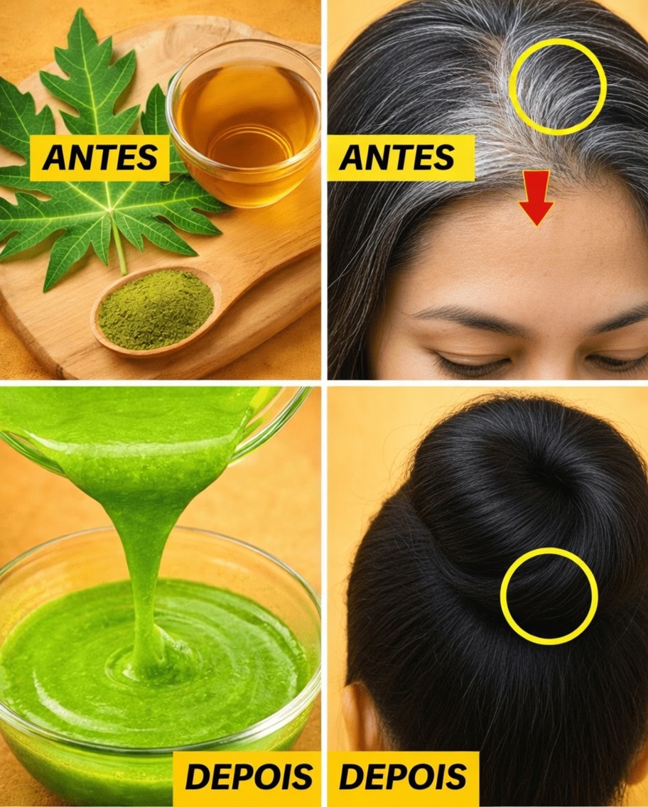 Como Usar Folhas de Mamão Durante a Noite para Cuidar dos Cabelos de Forma Natural: Receitas e Dicas para um Cabelo Mais Saudável