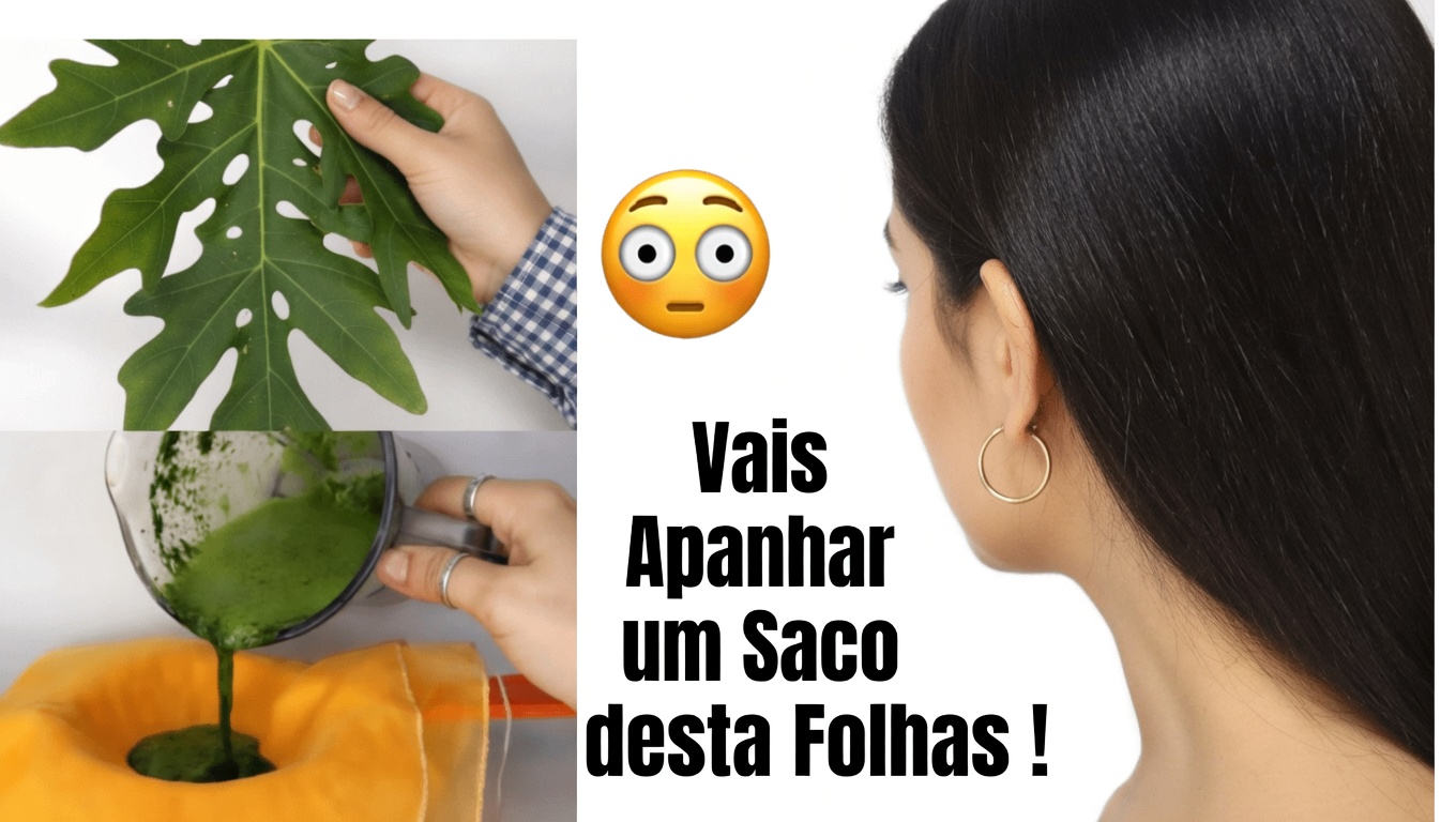 Como Usar Folhas de Mamão Durante a Noite para Cuidar dos Cabelos de Forma Natural: Receitas e Dicas para um Cabelo Mais Saudável