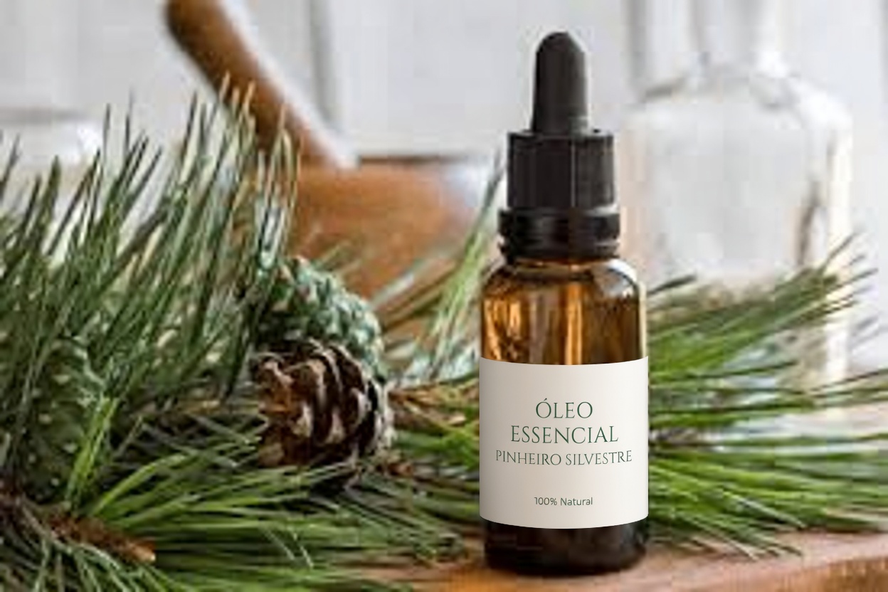 O Poder das Agulhas de Pinheiro: 30 Benefícios e Usos Caseiros