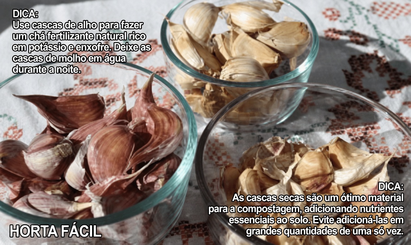 Cebolas: Um Método Natural para Acabar com Pragas