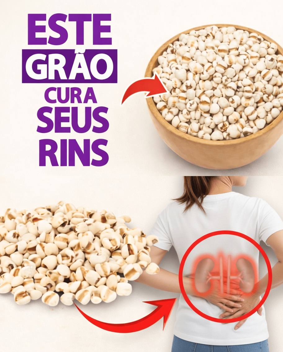 Descubra os 3 principais grãos do dia a dia que podem apoiar a saúde dos rins e o processo natural de desintoxicação