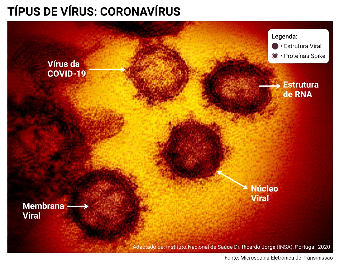 Cientistas alertam: cepa de Covid mais infecciosa até agora já é dominante
