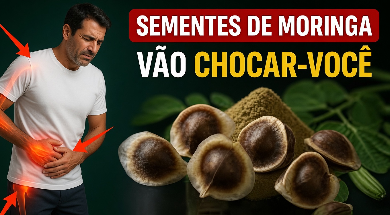 Desperte o Poder Oculto das Sementes de Moringa: 12 Benefícios que Transformam a Vida e que a Ciência Está Finalmente Confirmando