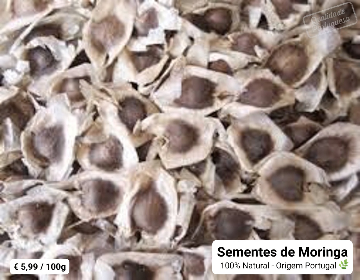 Desperte o Poder Oculto das Sementes de Moringa: 12 Benefícios que Transformam a Vida e que a Ciência Está Finalmente Confirmando
