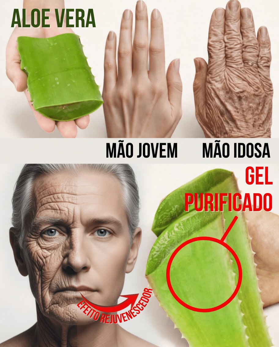 Descubra este simples e delicado truque japonês com aloe vera para apoiar a hidratação da sua pele madura depois dos 70