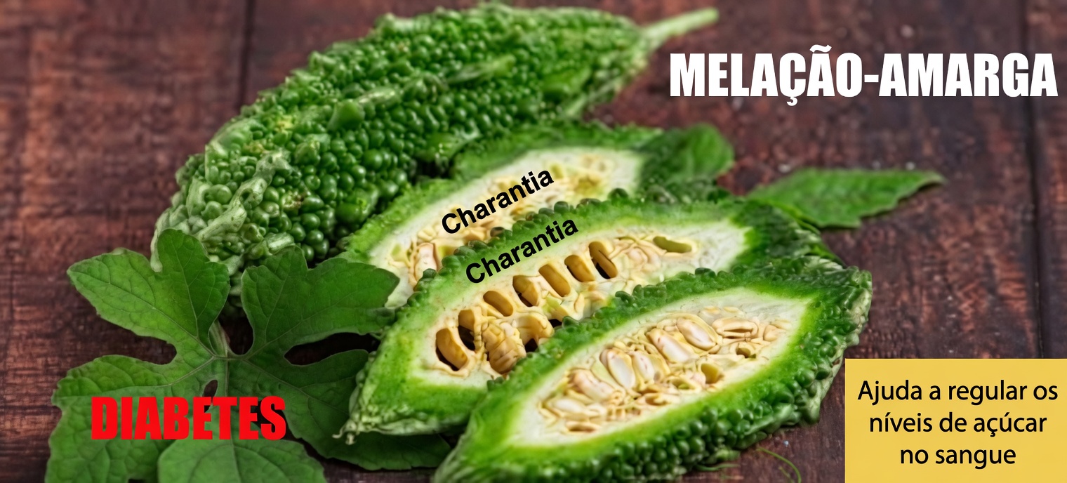 5 principais vegetais que podem naturalmente ajudar a reduzir os níveis de creatinina e melhorar a função renal (TFG)