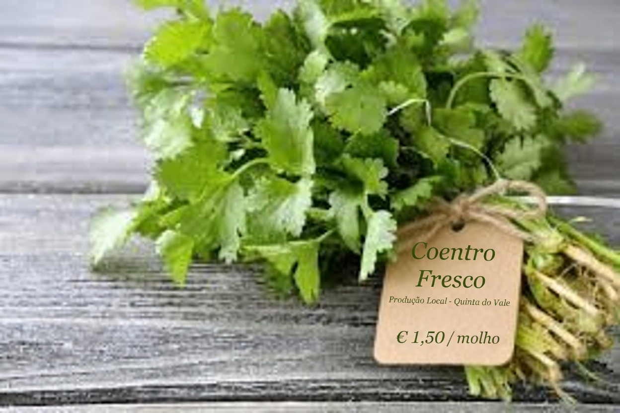 5 principais vegetais que podem naturalmente ajudar a reduzir os níveis de creatinina e melhorar a função renal (TFG)