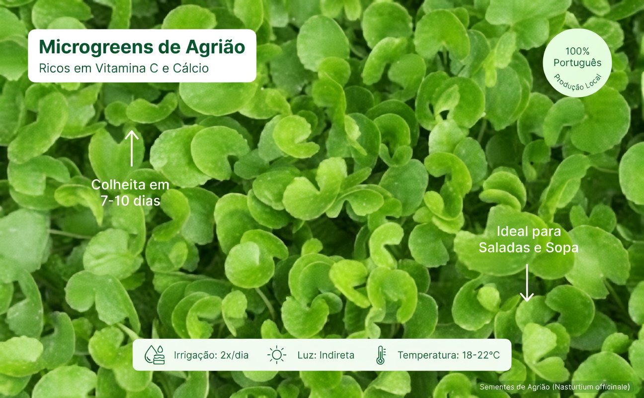 5 principais vegetais que podem naturalmente ajudar a reduzir os níveis de creatinina e melhorar a função renal (TFG)