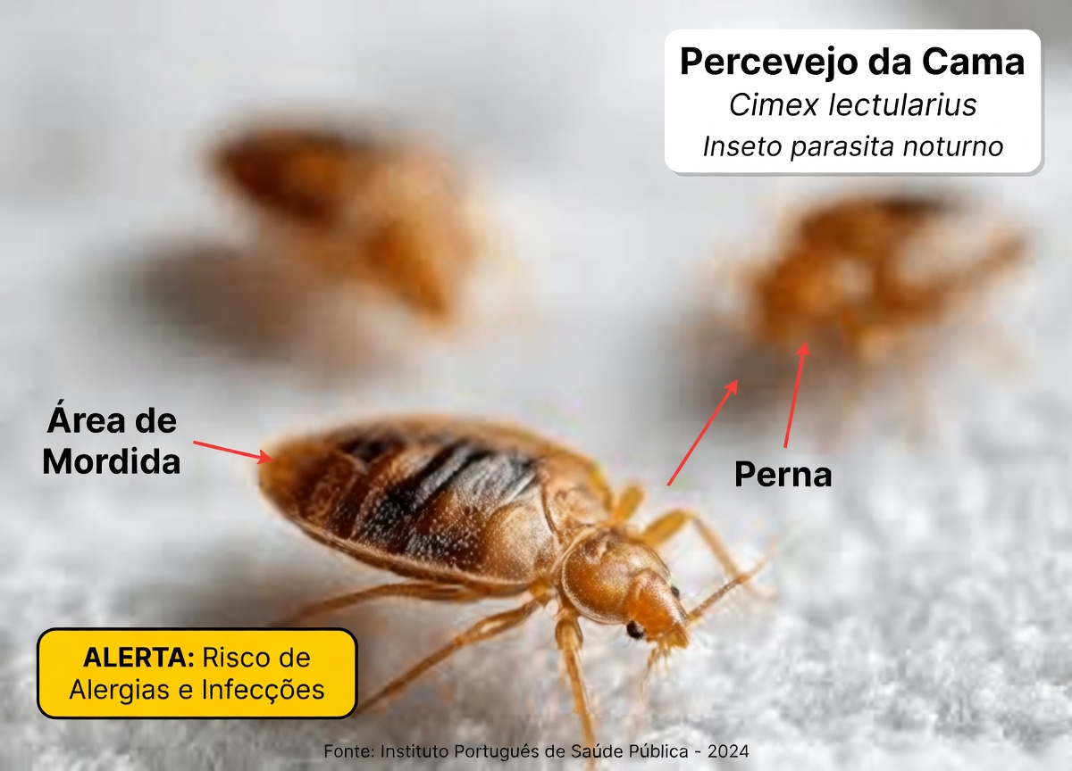 Os percevejos vão desaparecer do seu jardim em poucos minutos fazendo isto… ou vão mesmo? A verdade revelada
