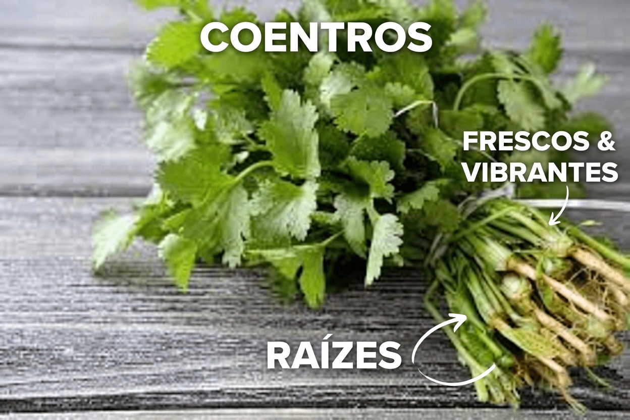 5 Legumes Comuns Que Podem Reduzir Discretamente Sua Creatinina e Aumentar o TFG (Mesmo Se Seu Médico Já Estiver Preocupado)