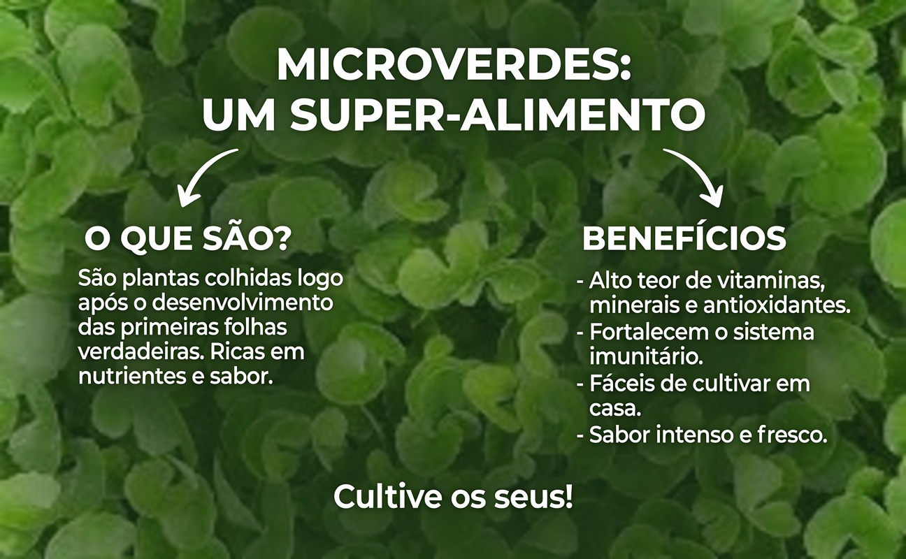 5 Legumes Comuns Que Podem Reduzir Discretamente Sua Creatinina e Aumentar o TFG (Mesmo Se Seu Médico Já Estiver Preocupado)