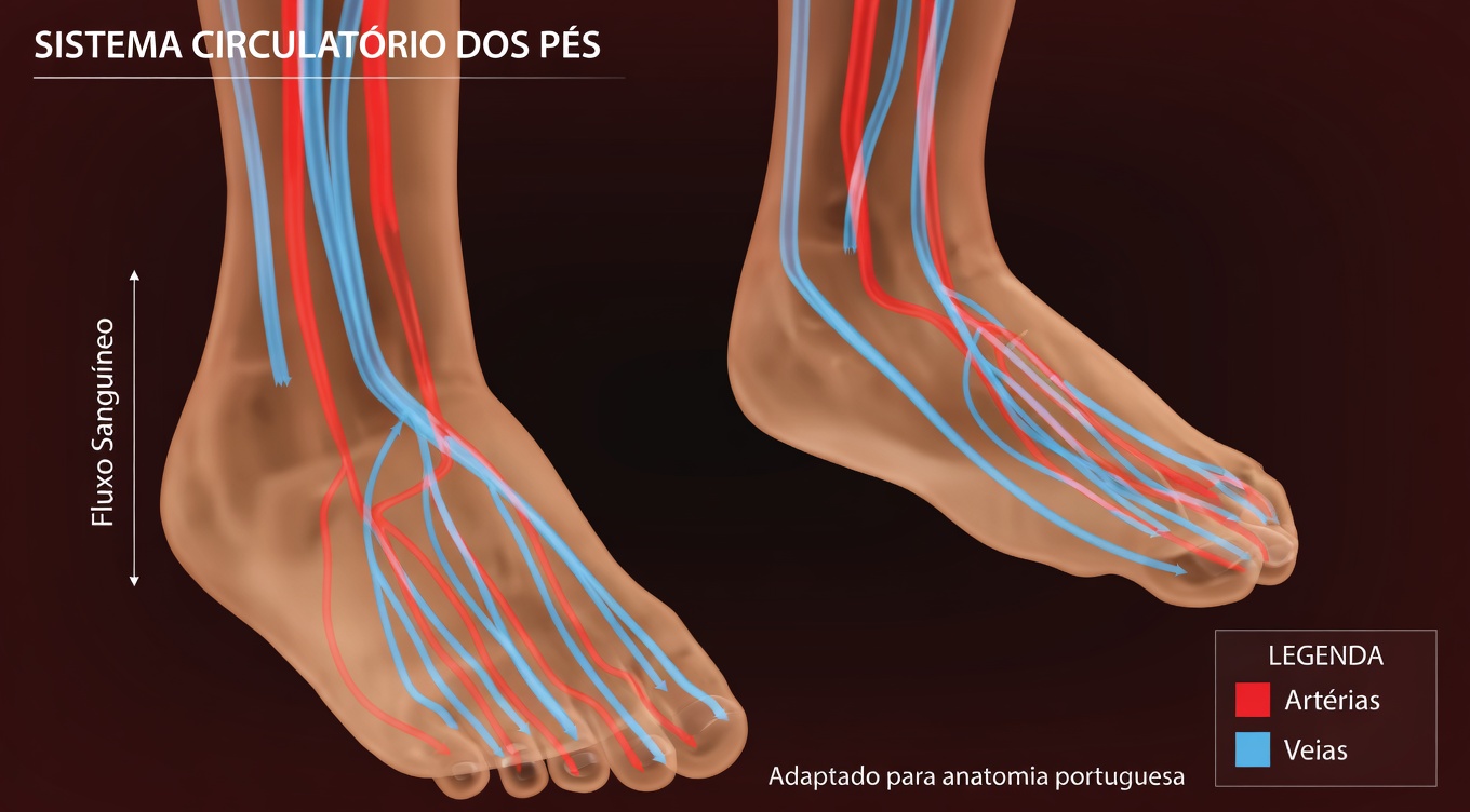1 vitamina que pode ajudar a melhorar naturalmente a circulação nas pernas e nos pés