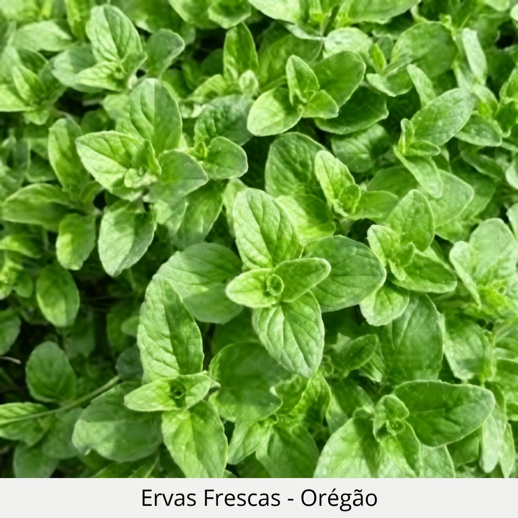 Sente-se constantemente cansado depois dos 50? 10 alimentos que podem apoiar a proteção celular, segundo um oncologista