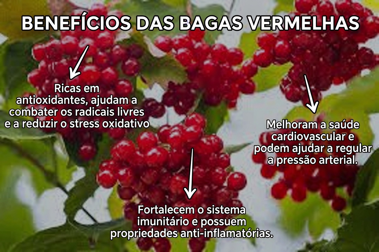 14 Melhores Alimentos para Melhorar a Circulação nas Pernas e nos Pés (para que as “Pernas Pesadas” Finalmente Voltem a se Sentir Leves)