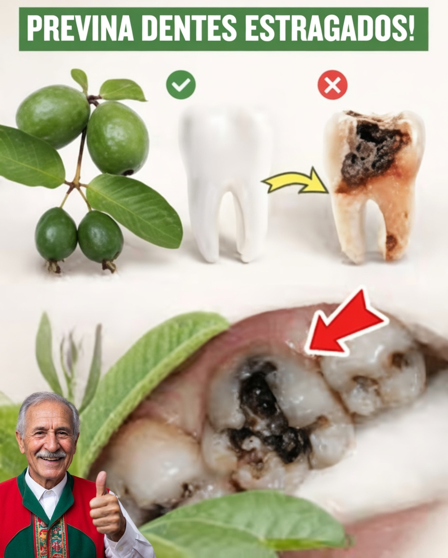 3 Principais Formas Naturais de Apoiar a Saúde dos Dentes Usando Folhas de Goiabeira – Simples e Econômico!