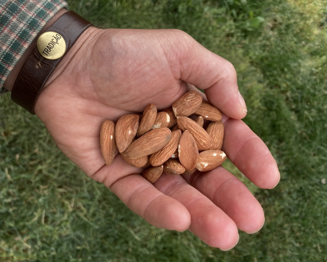 Top 5 Alimentos Ricos em Magnésio para Ajudar a Reduzir Cãibras nas Pernas em Idosos: Alívio Notável em Apenas 7 Dias