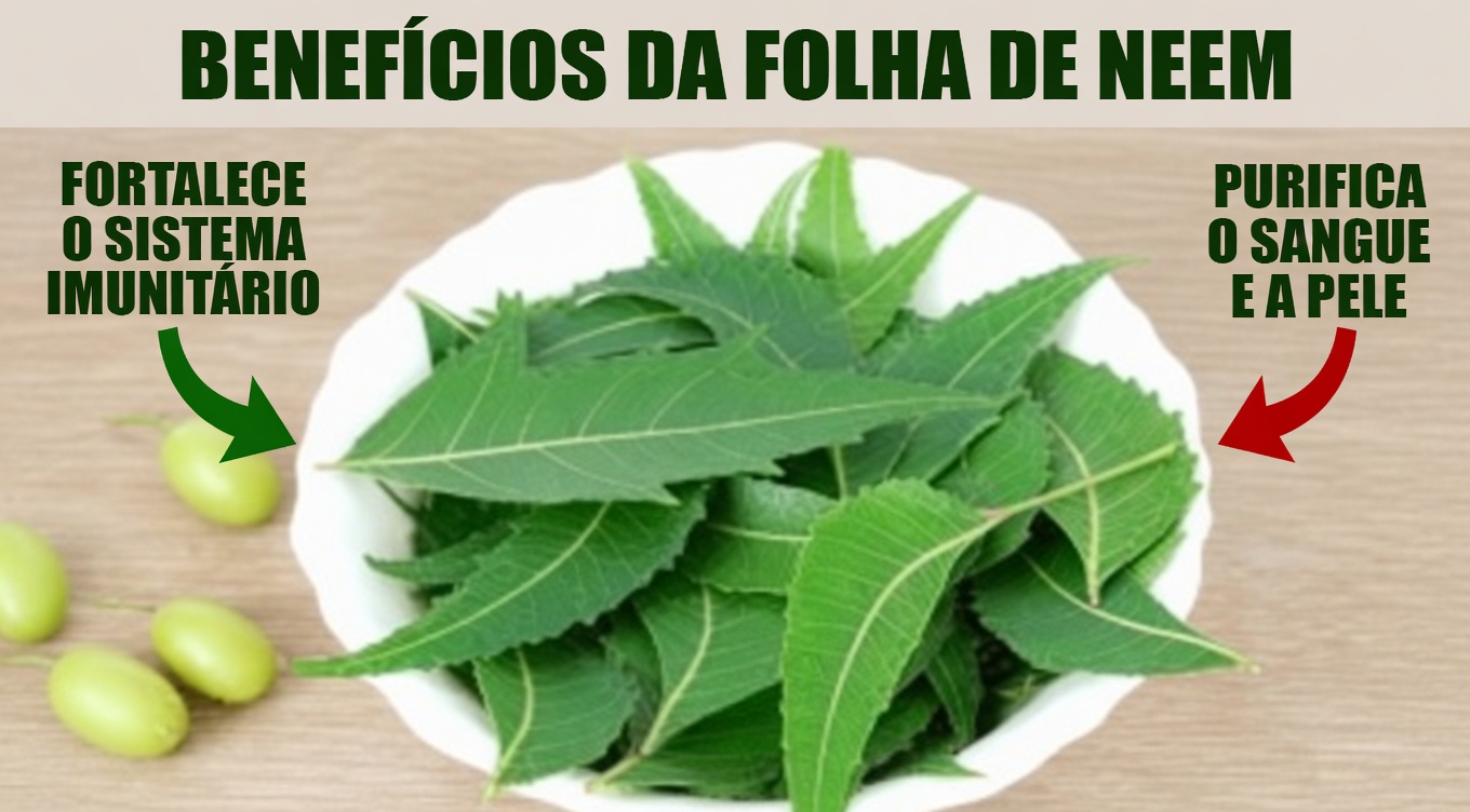 Coma uma folha de nim por dia e veja o que acontece!