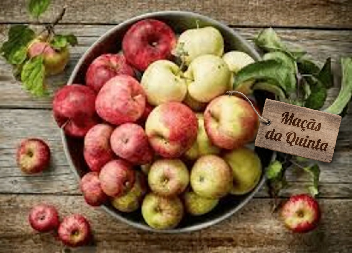 Alerta! Você não consegue curar seus rins se não comer estas 7 frutas