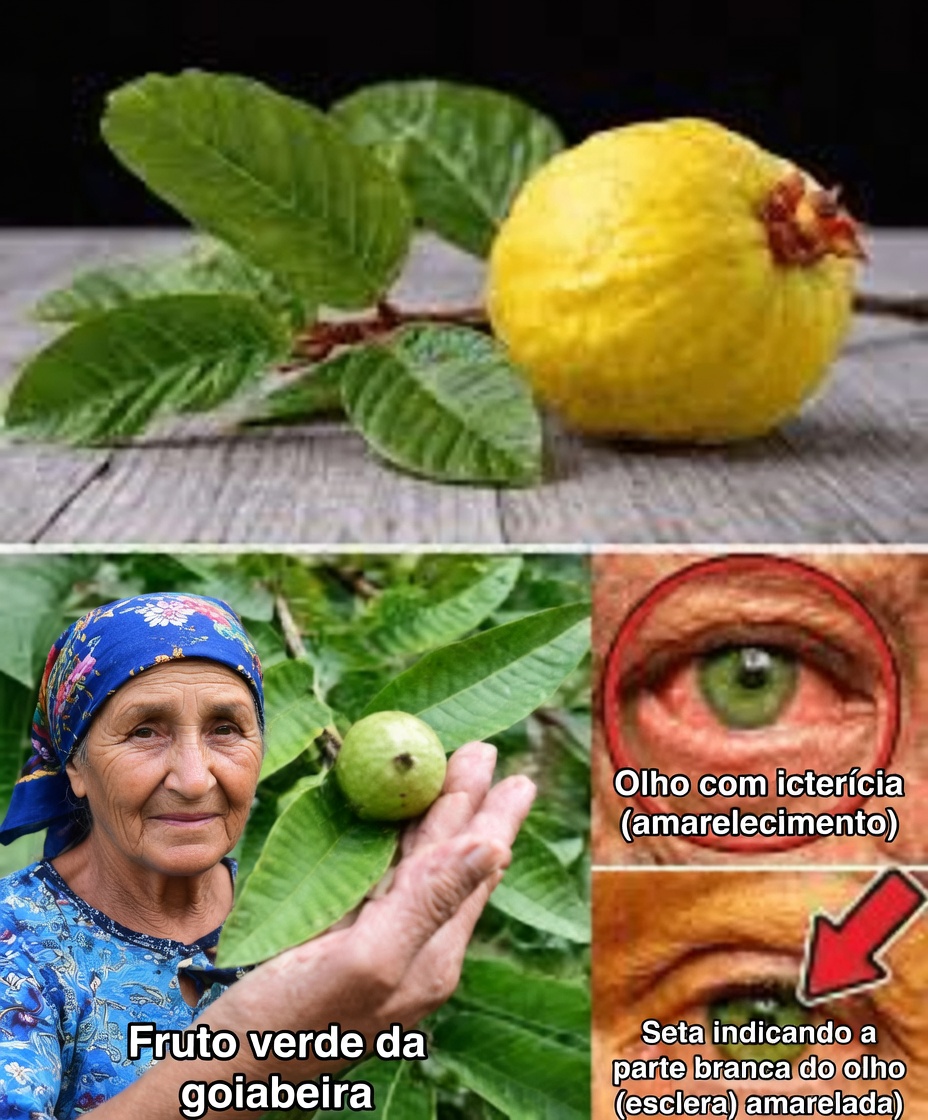 Como Usar a Goiaba para Tratar Problemas Oculares — Remédios Naturais para os Olhos