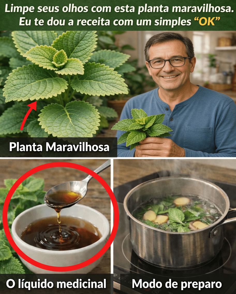 Como o Orégano Orejón Apoia a Saúde dos Olhos Naturalmente: Dicas para Incluir Esta Erva na Sua Rotina de Bem-Estar da Visão