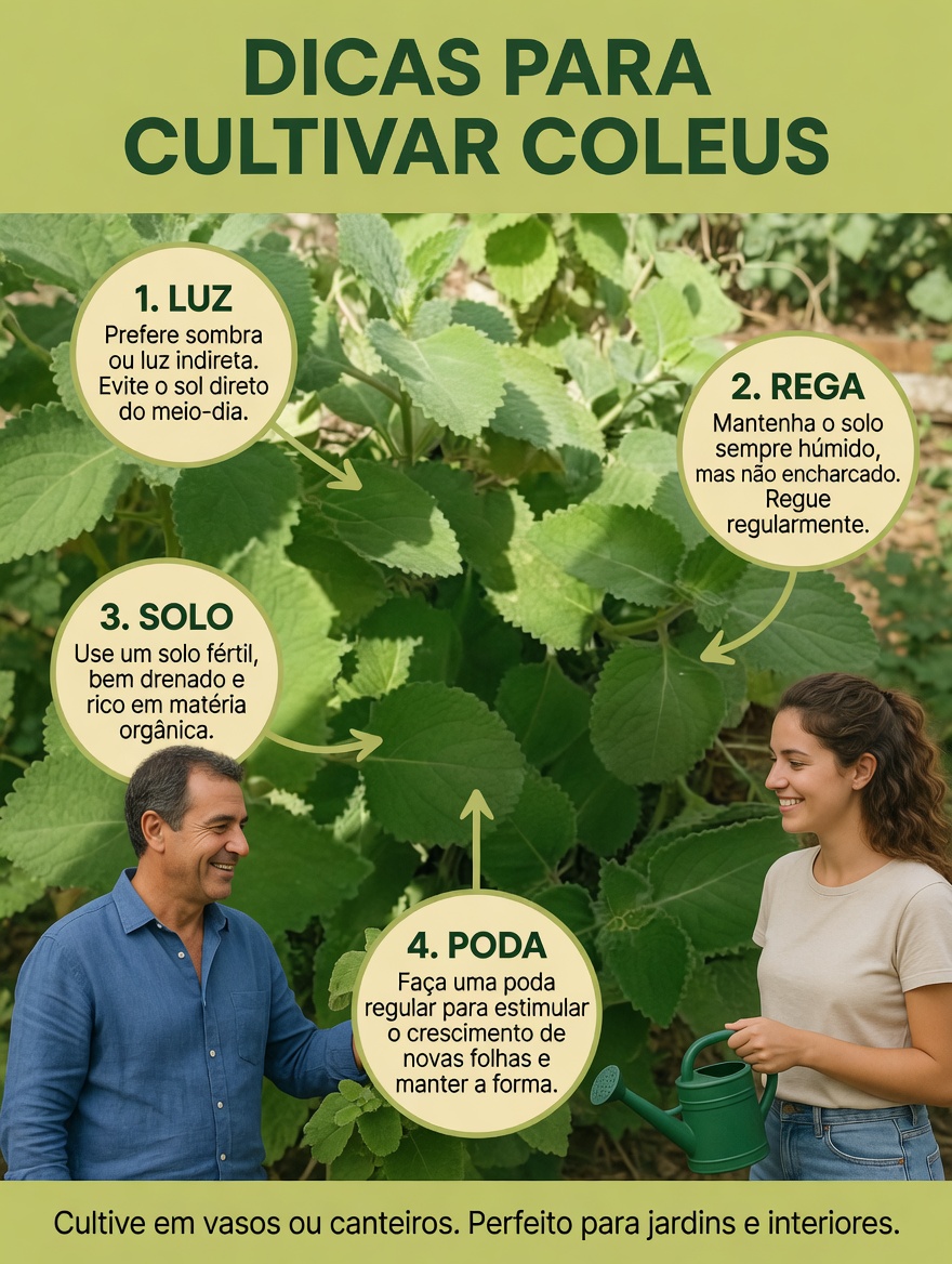 Como o Orégano Orejón Apoia a Saúde dos Olhos Naturalmente: Dicas para Incluir Esta Erva na Sua Rotina de Bem-Estar da Visão