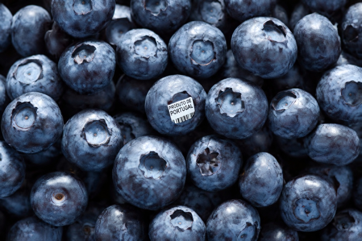 Mais de 60? Coma ESTES 3 Alimentos para se Proteger contra o Glaucoma | Recupere uma Visão Cristalina