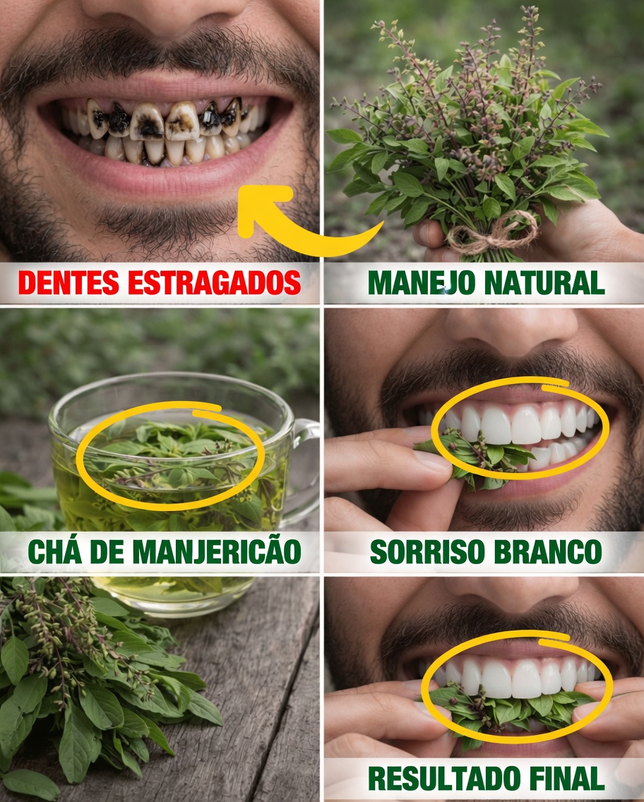Como o Manjericão-Sagrado (Tulsi) Pode Ajudar Naturalmente a Fortalecer os Dentes, Promover Gengivas Mais Saudáveis, Deixar o Hálito Mais Fresco e Prevenir Cáries