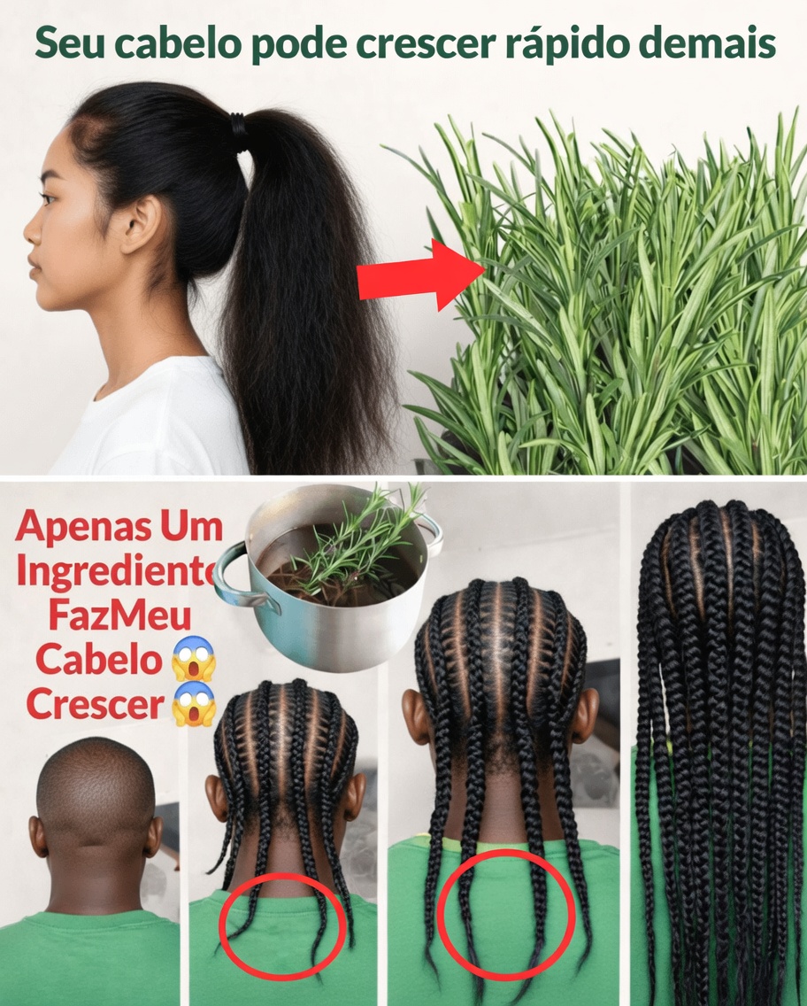 3 Maneiras Poderosas de Usar Alecrim para um Cabelo Mais Grosso e de Crescimento Mais Rápido (Suas Bordas Podem Preencher Mais Rápido do Que Você Imagina)