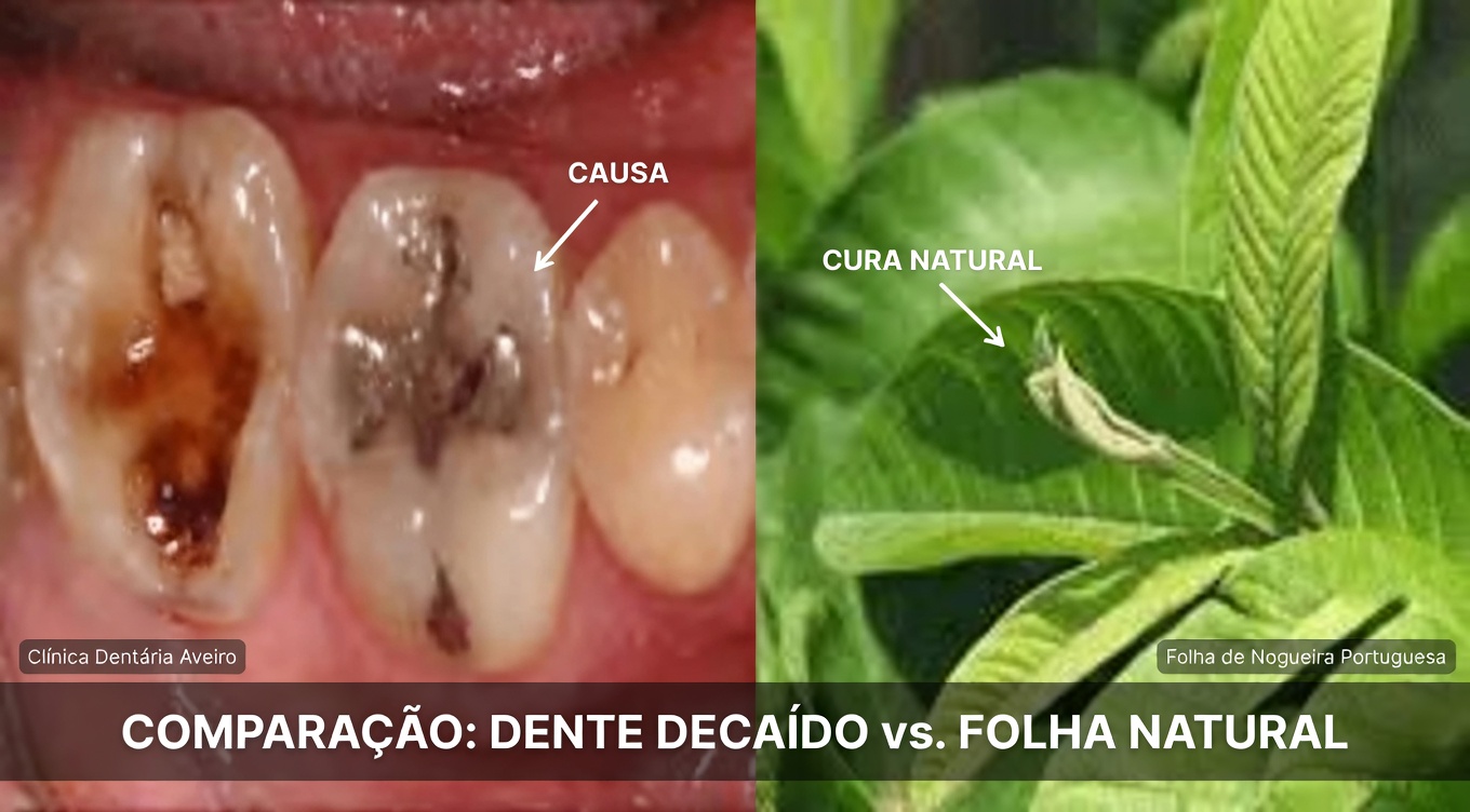 3 Principais Maneiras Simples de Usar Folhas de Goiabeira para Ajudar a Manter Dentes e Gengivas Mais Saudáveis em Casa