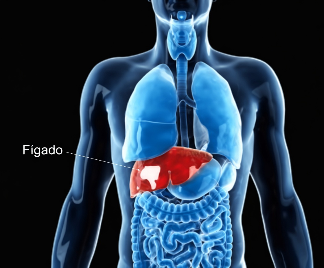 Verdade Chocante: Suas Vitaminas Diárias Podem Estar Sabotando Seus Órgãos em Silêncio